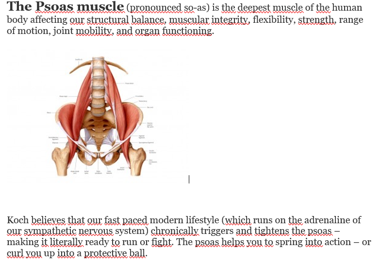 Praktijk Michael Ris The Psoas Muscle of The Soul Praktijk Michael Ris